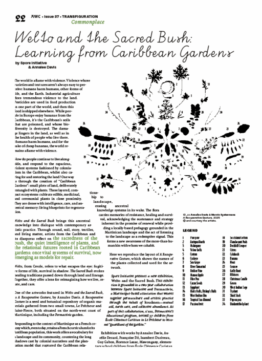  AWC Issue 37